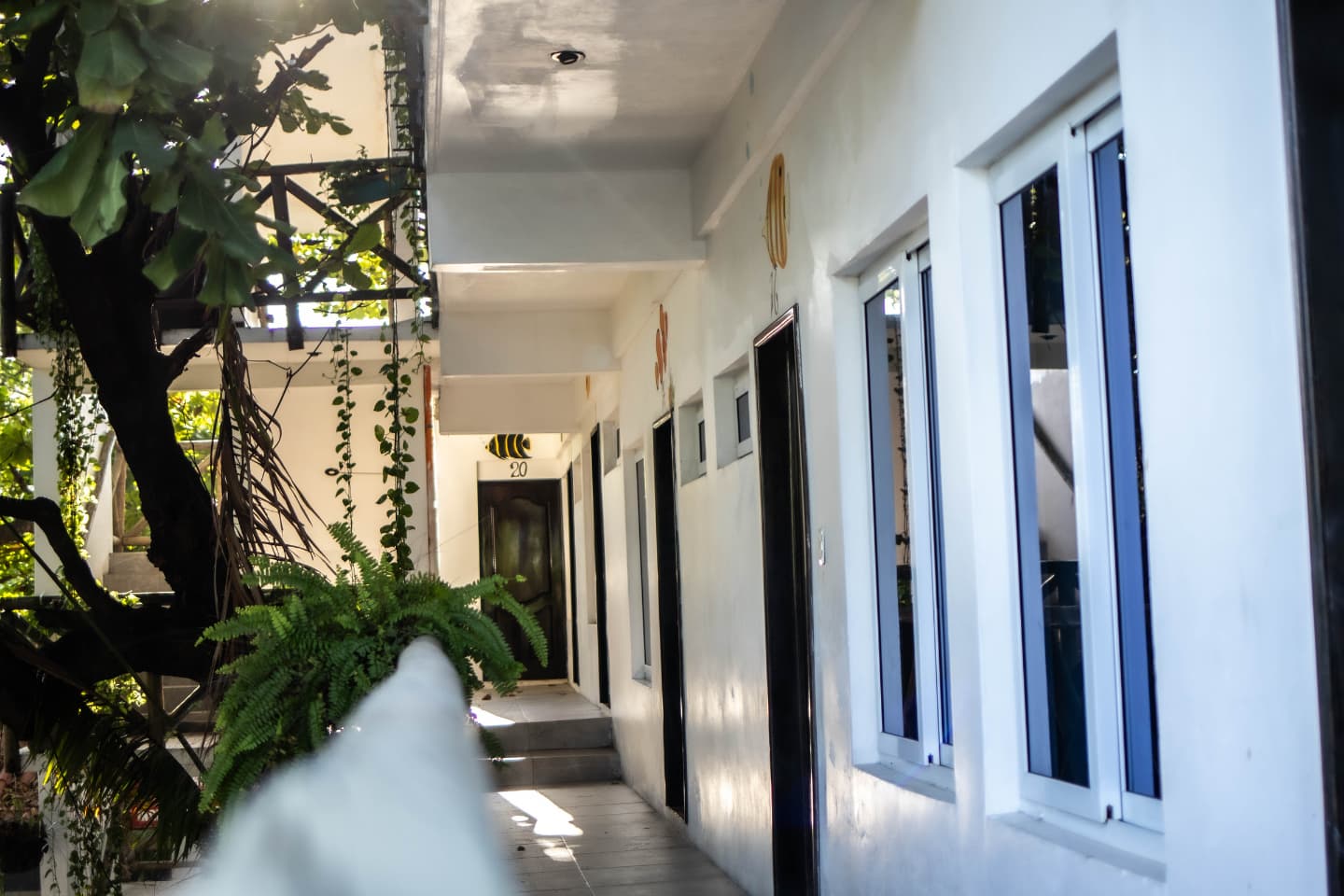 hotelamplioenelpuertosanjose